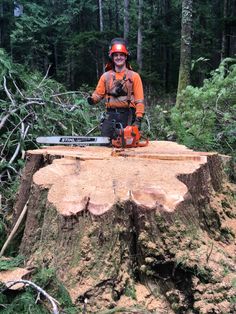 Stump Grinding